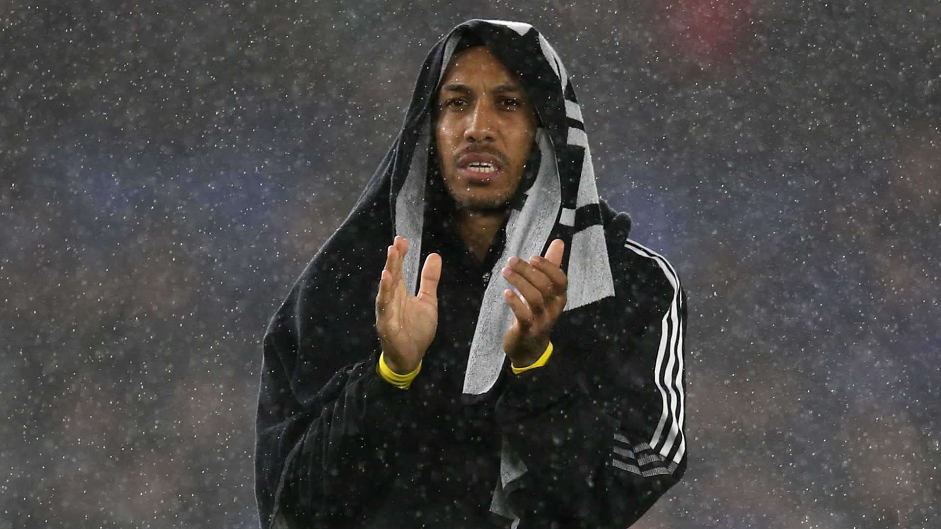 执着的象征 执着的象征