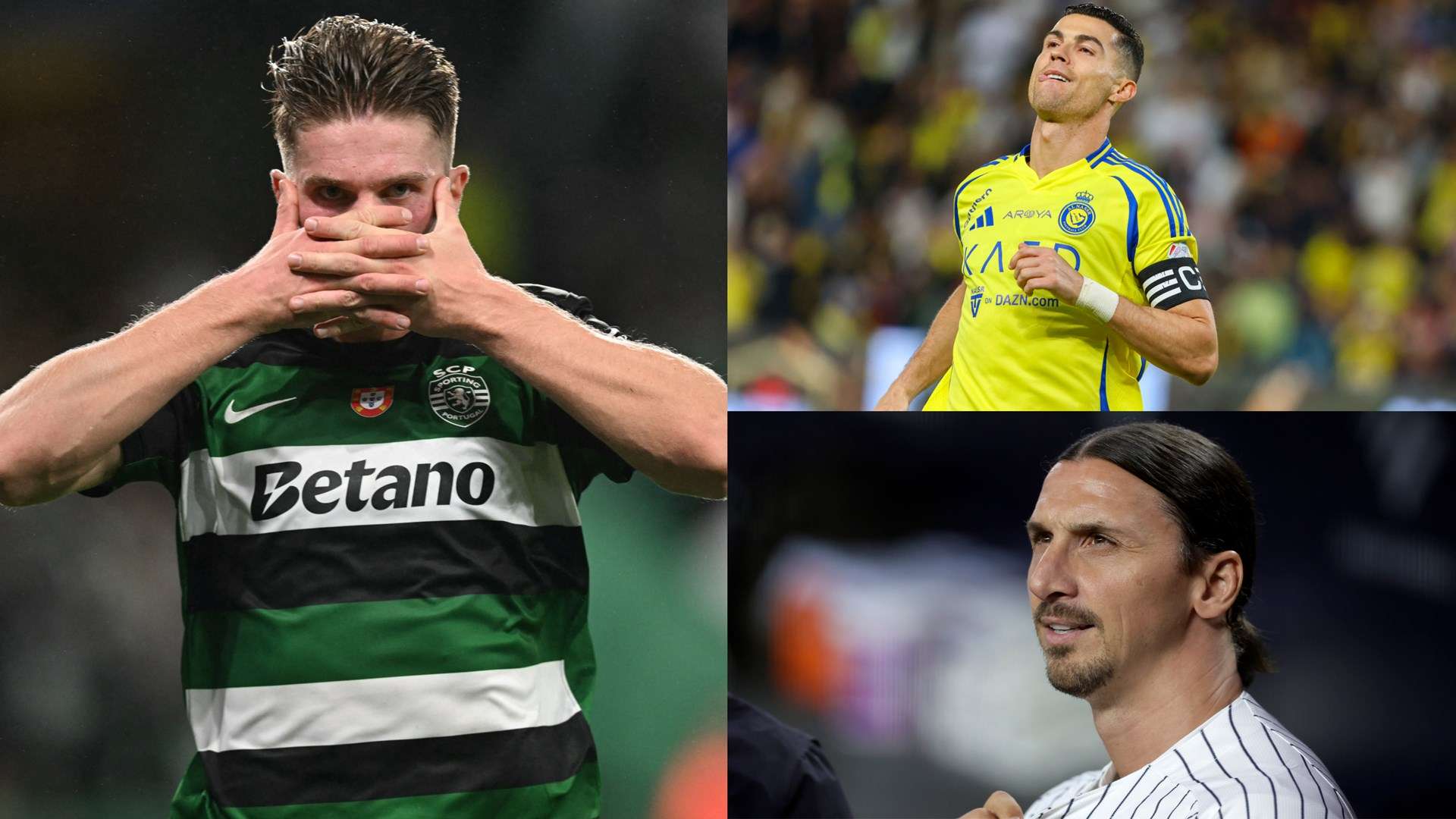 发挥充满期 发挥充满期